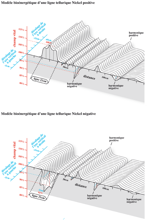 reseau_modele.gif